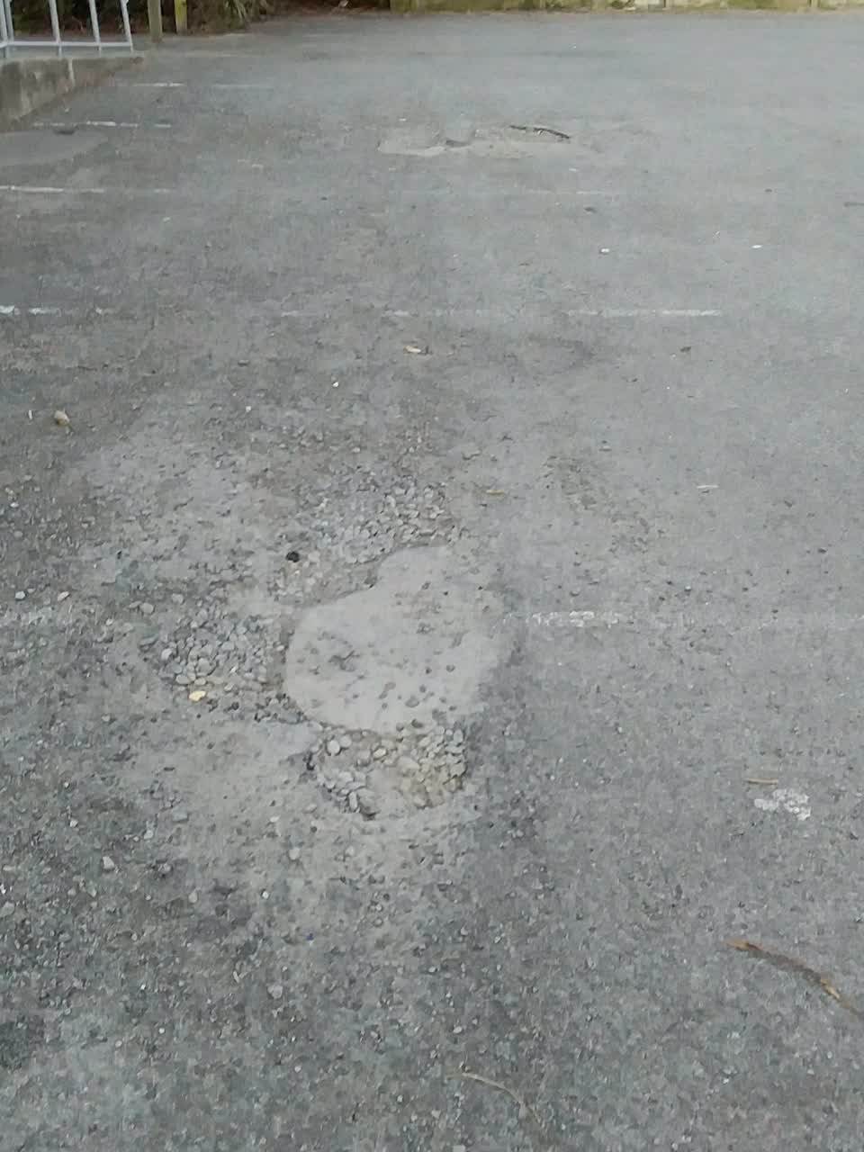 The photograph attached to this parks report