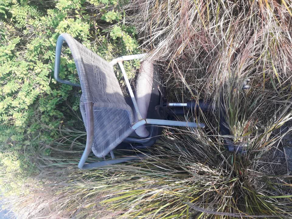 The photograph attached to this parks report