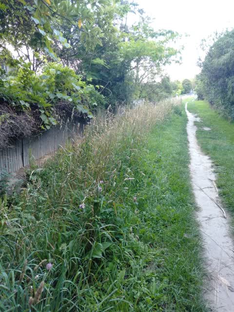 Wastewater/Stormwater, a report photo