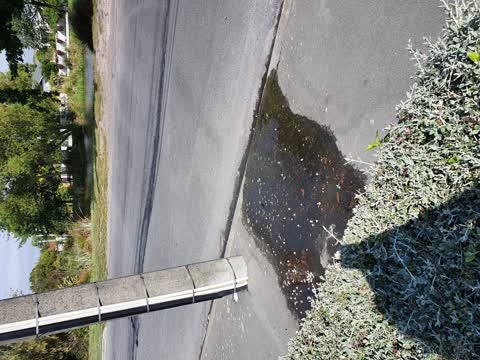 Water Leak, a report photo