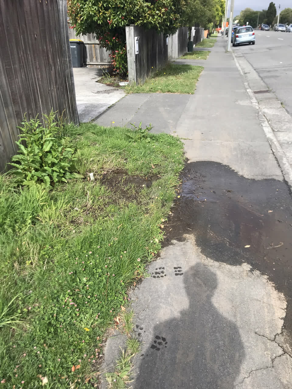 The photograph attached to this water leak report