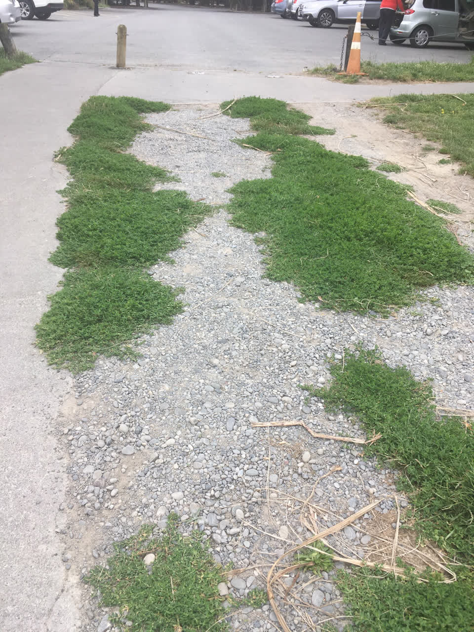 The photograph attached to this parks report