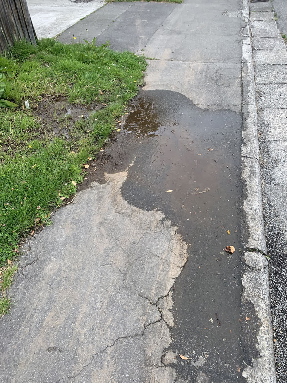 The photograph attached to this water leak report