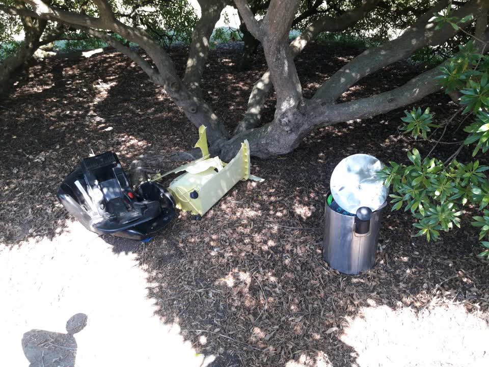 The photograph attached to this parks report