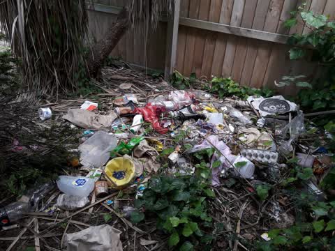 Parks, a report photo