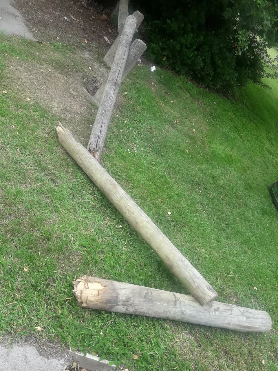The photograph attached to this parks report