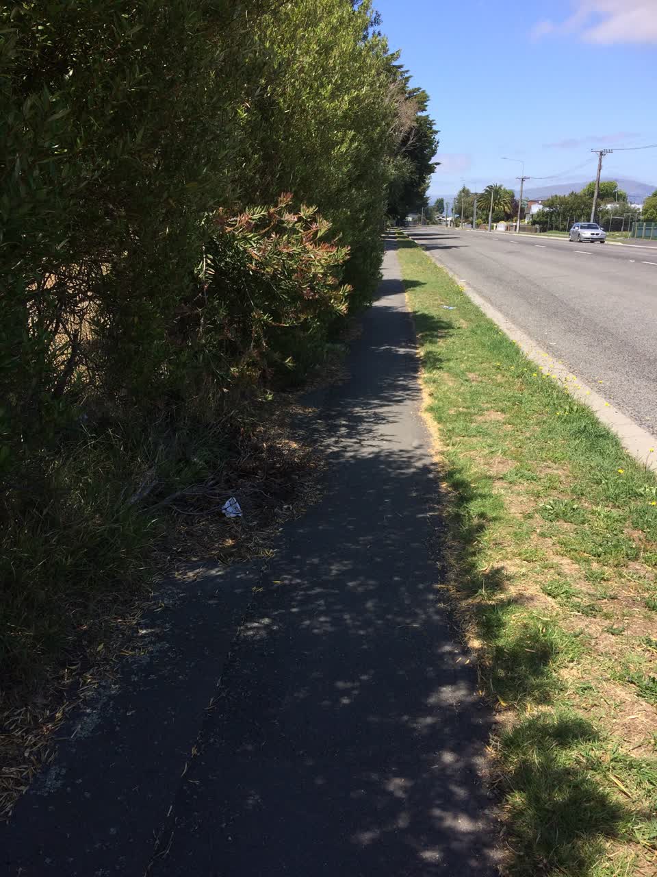 The photograph attached to this parks report