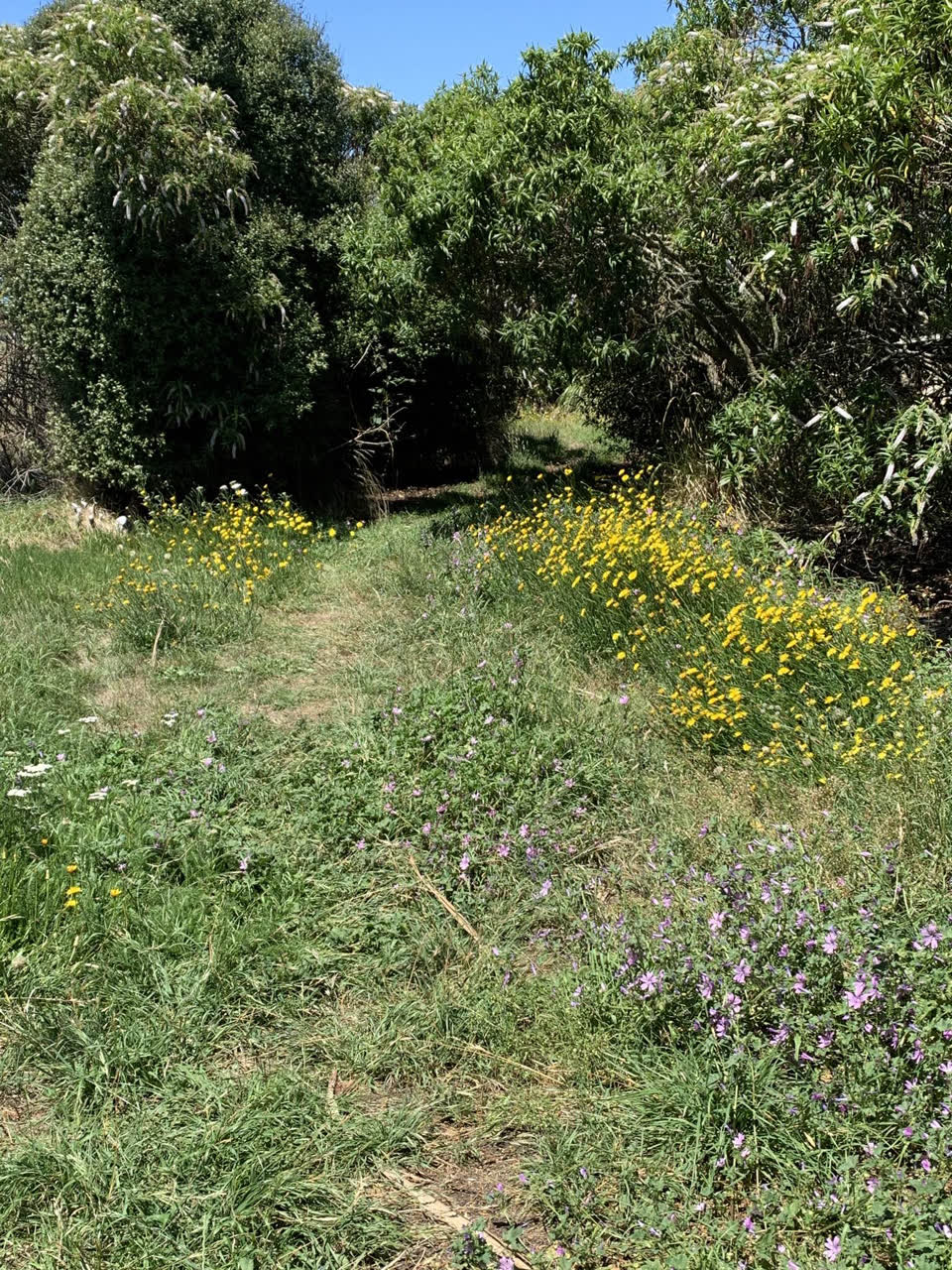 The photograph attached to this parks report