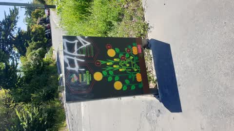 Graffiti, a report photo