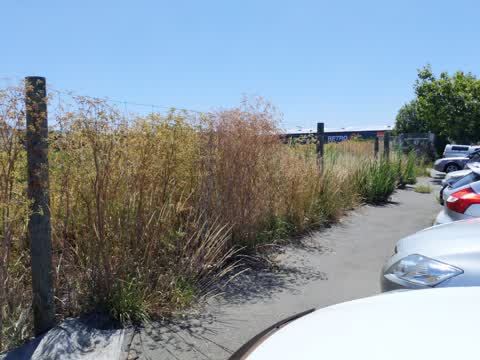 Parks, a report photo