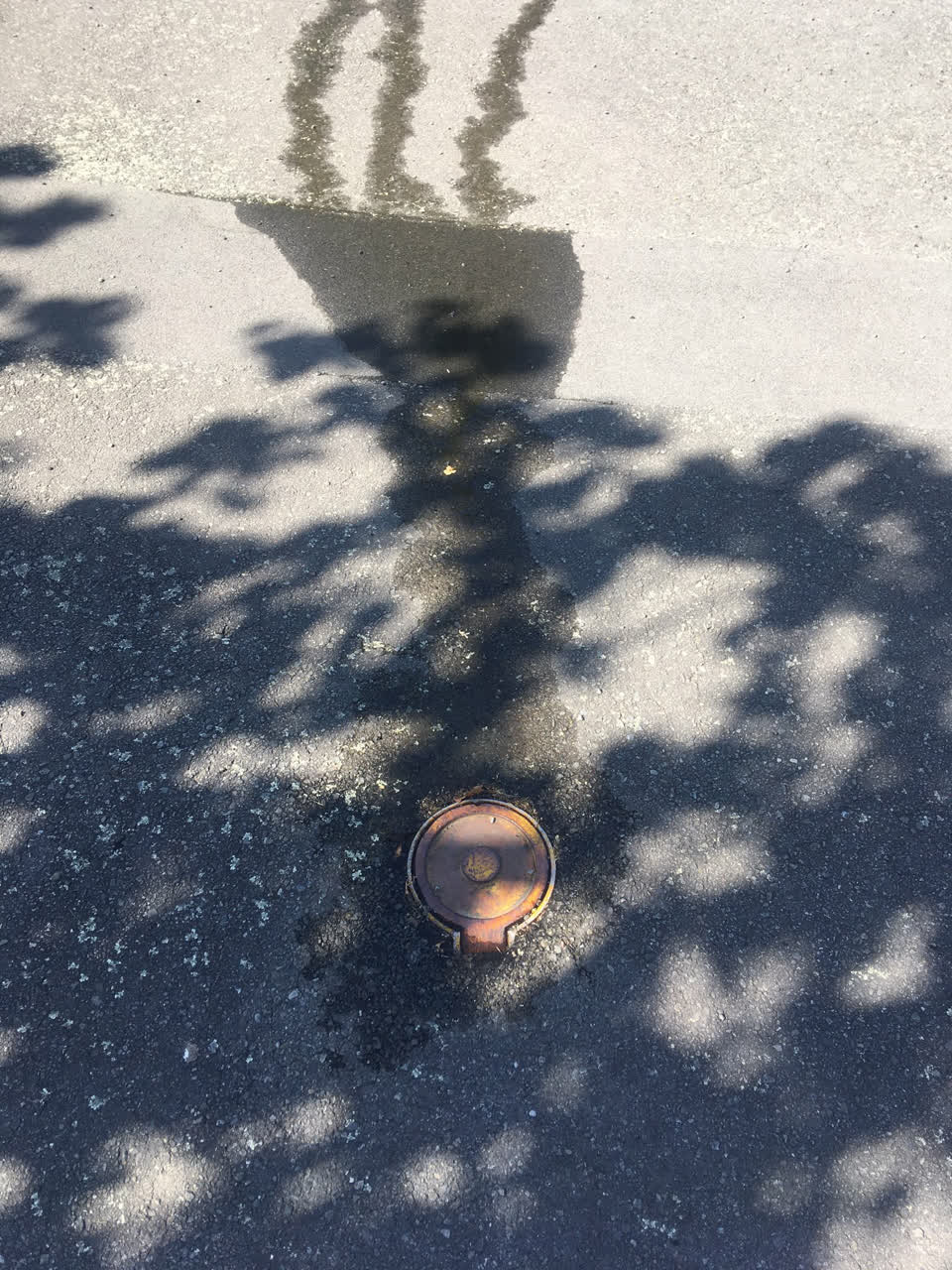 The photograph attached to this water leak report