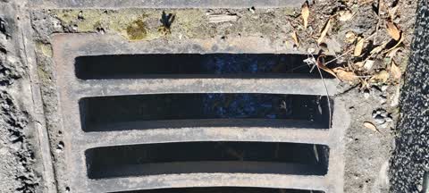 Roading/Streets, a report photo