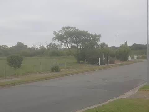 Parks — a report photo