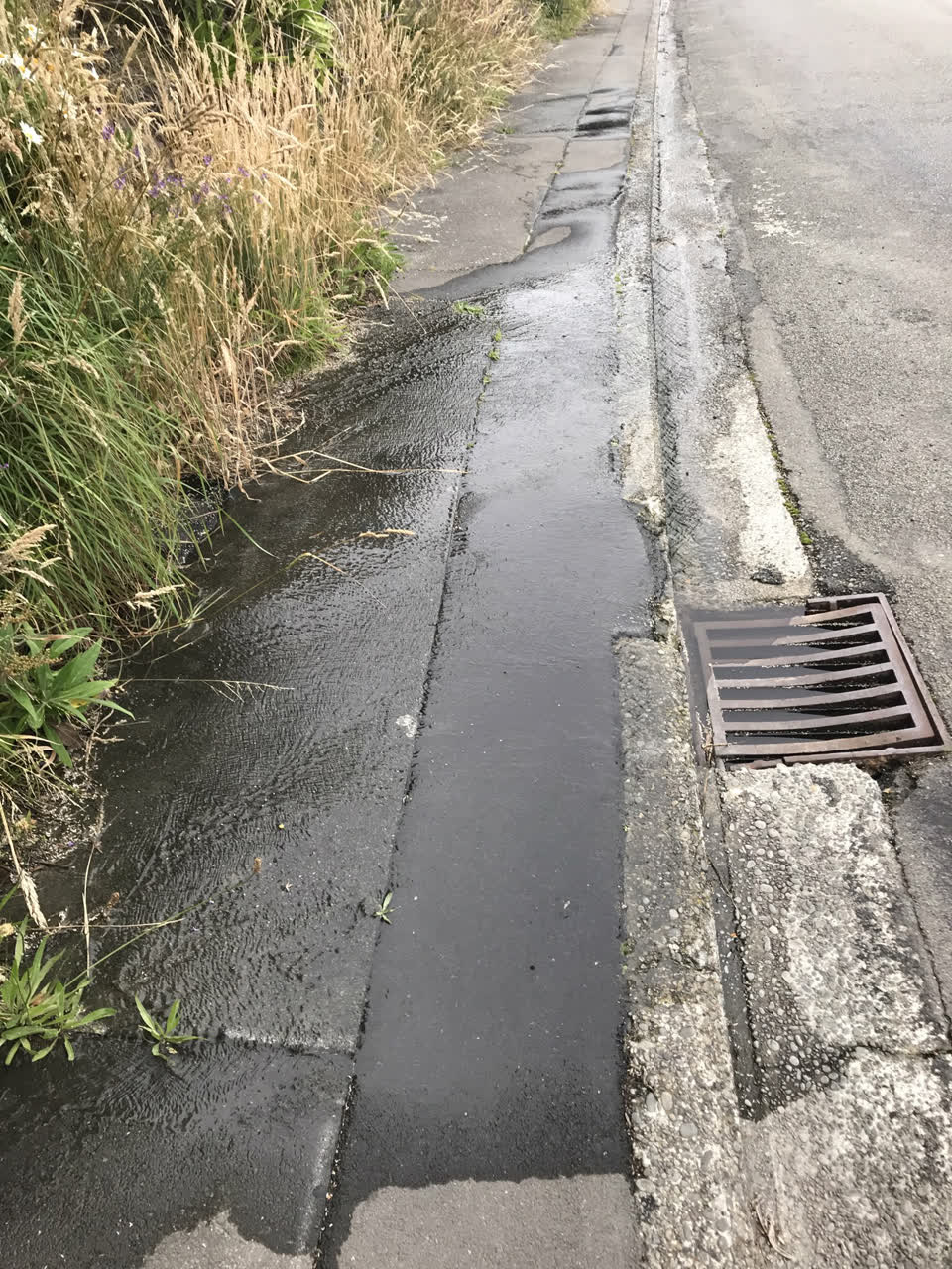 The photograph attached to this water leak report