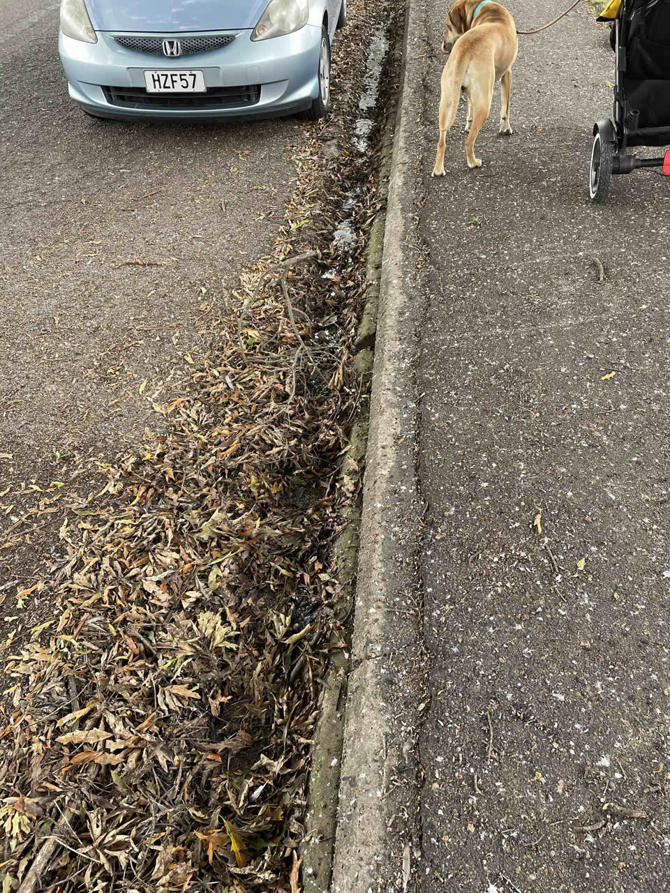The photograph attached to this roading/streets report