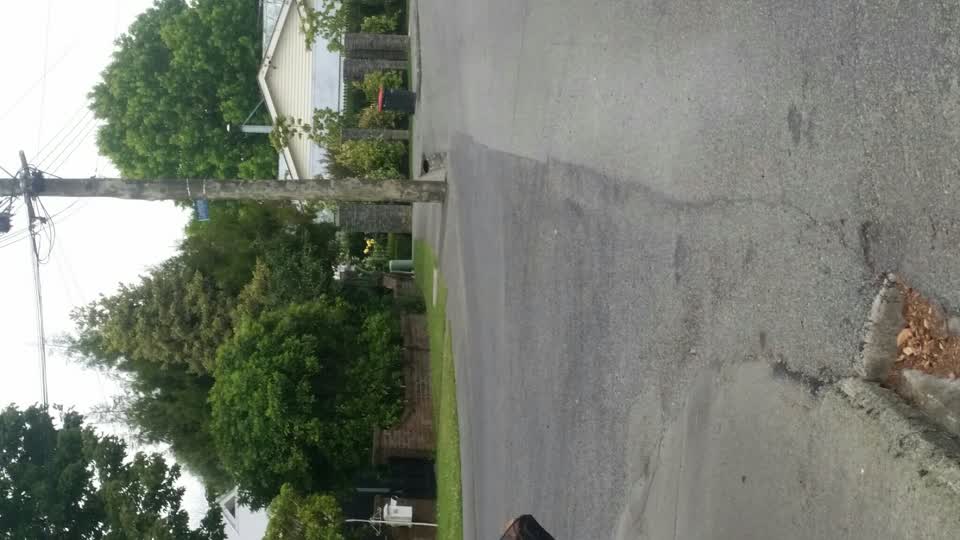The photograph attached to this roading/streets report