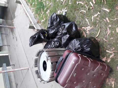 Parks, a report photo
