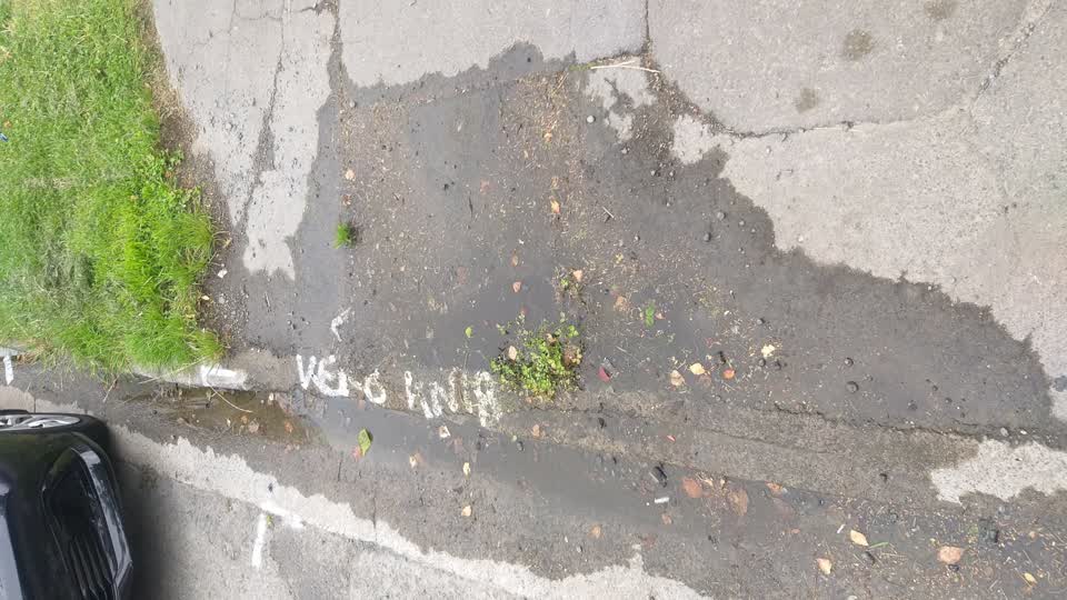 The photograph attached to this water leak report