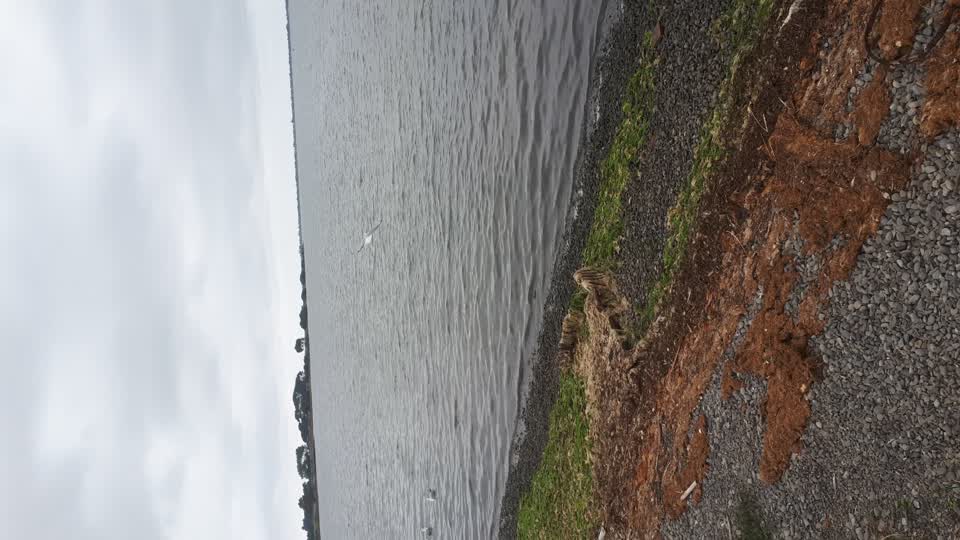The photograph attached to this sewer odour report