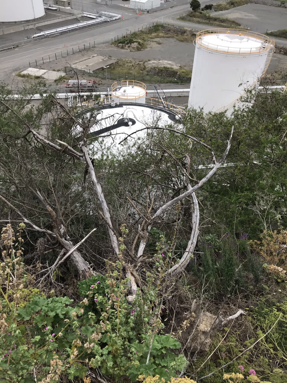 The photograph attached to this parks report