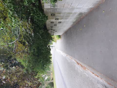 Parks, a report photo