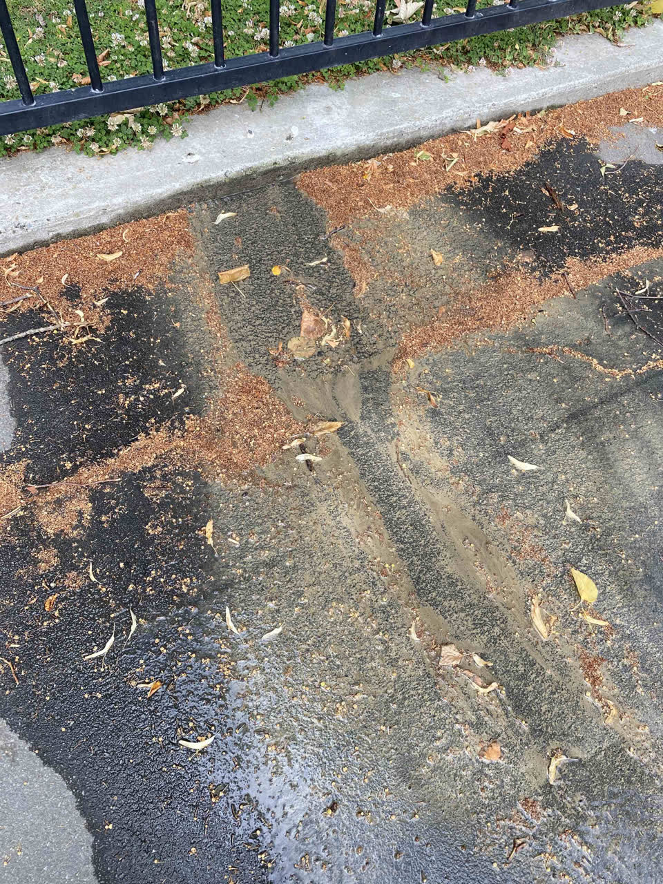 The photograph attached to this water leak report