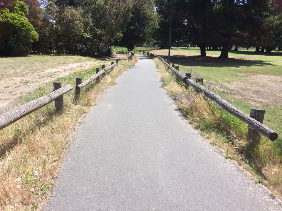 The photograph attached to this parks report