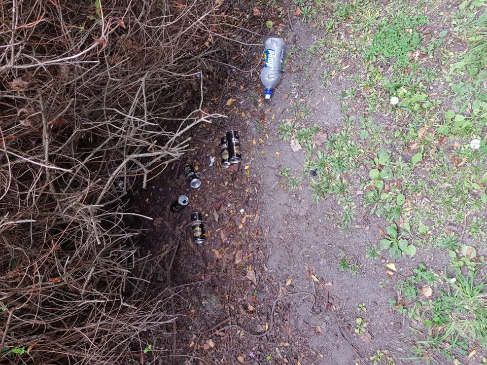 The photograph attached to this parks report