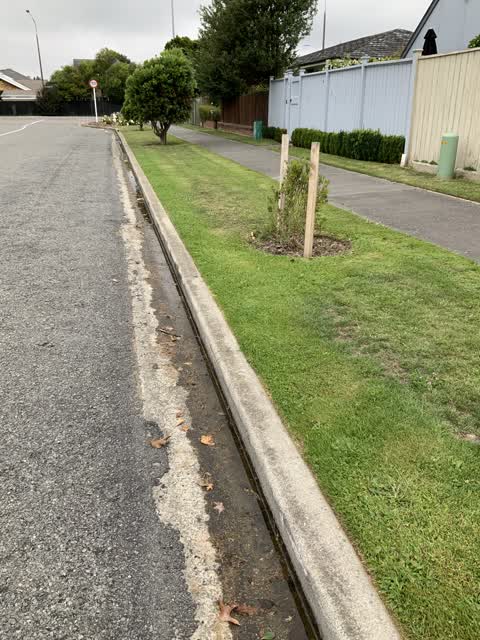 Wastewater/Stormwater, a report photo