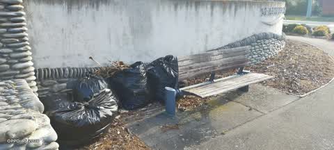 Rubbish/Recycling, a report photo