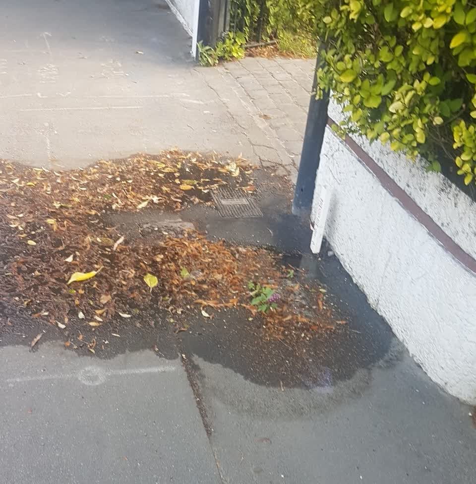 The photograph attached to this water supply report