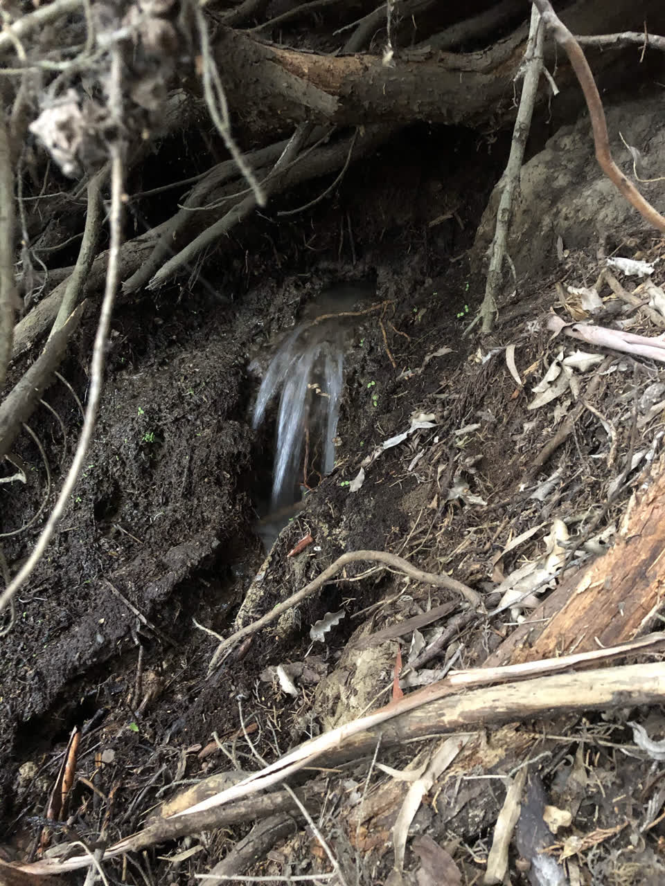 The photograph attached to this water supply report