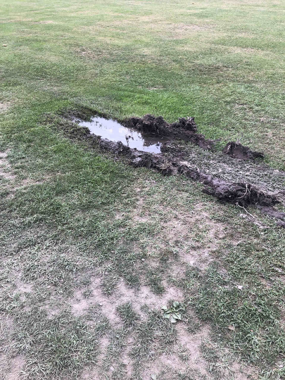 The photograph attached to this water leak report