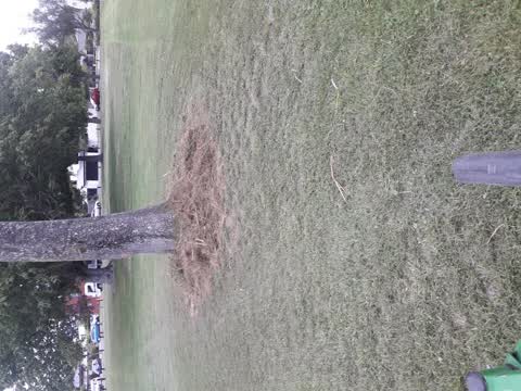 Parks, a report photo