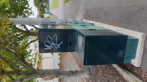 Graffiti, a report photo