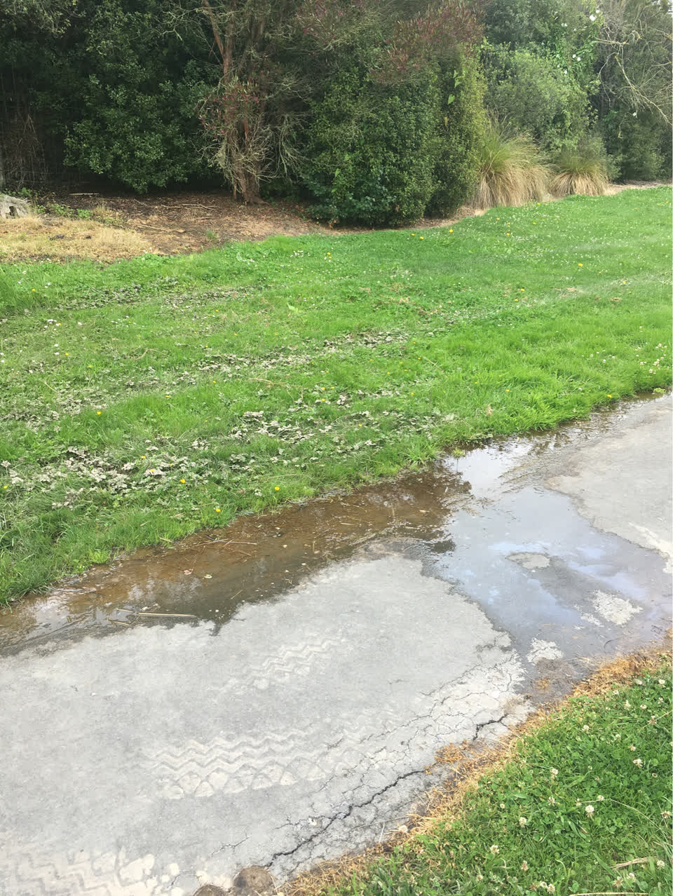 The photograph attached to this parks report