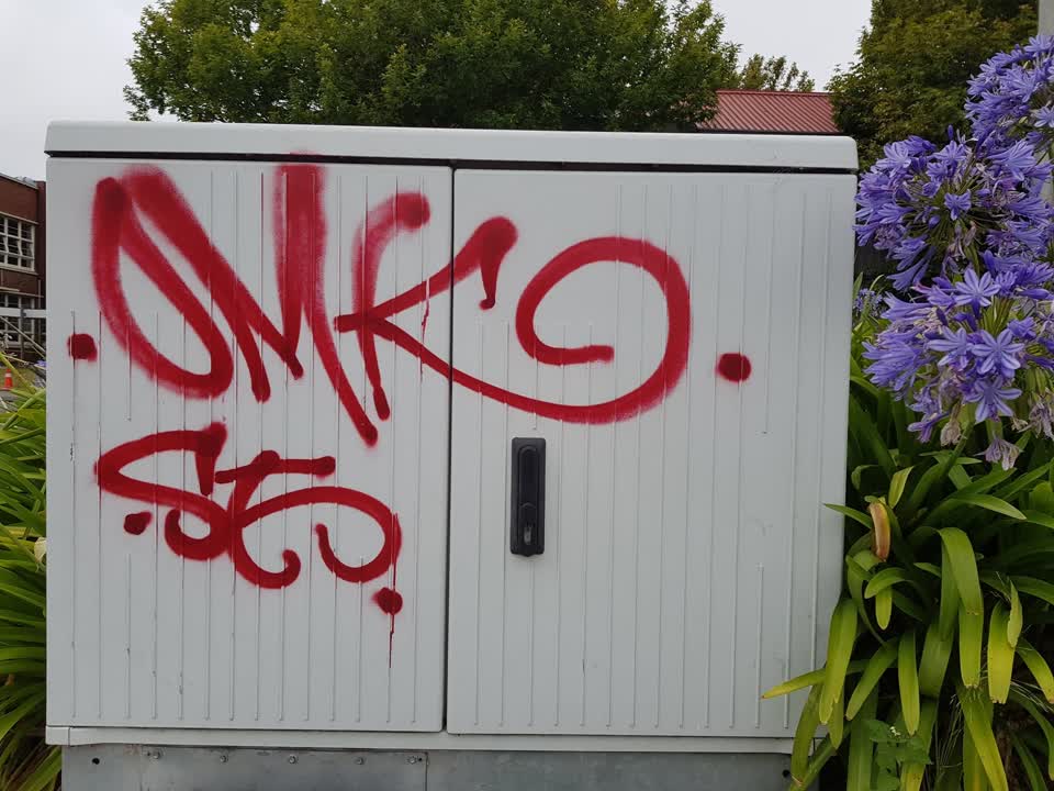 The photograph attached to this graffiti report