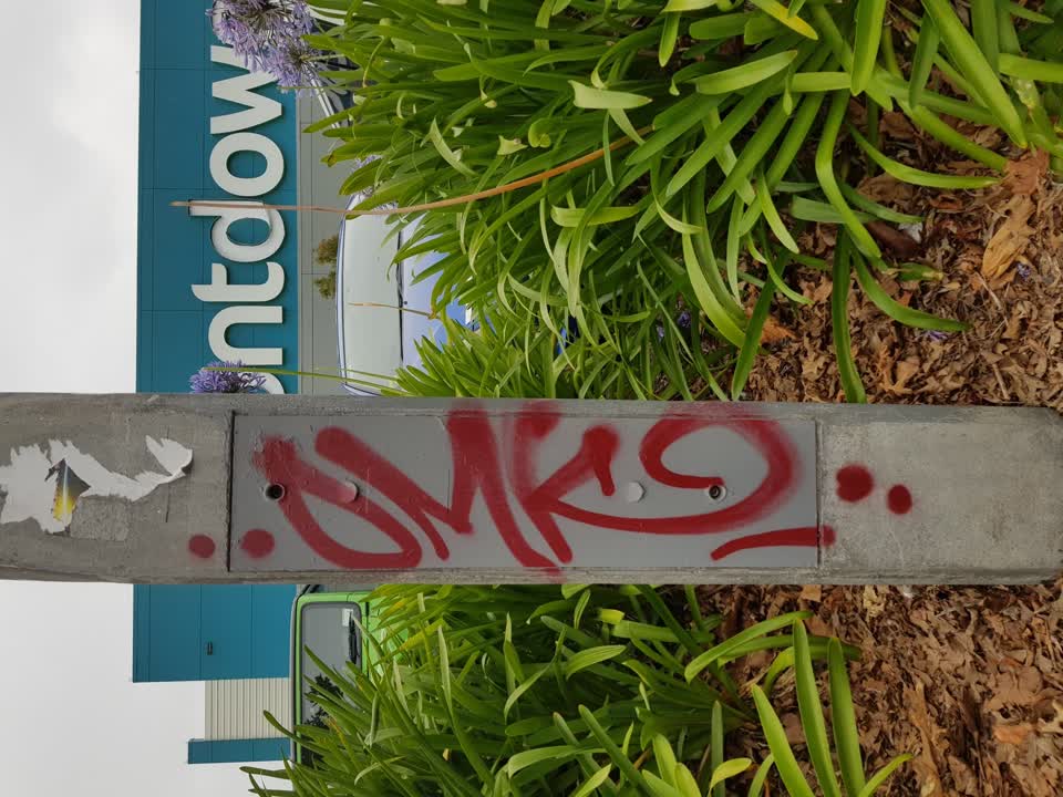 The photograph attached to this graffiti report