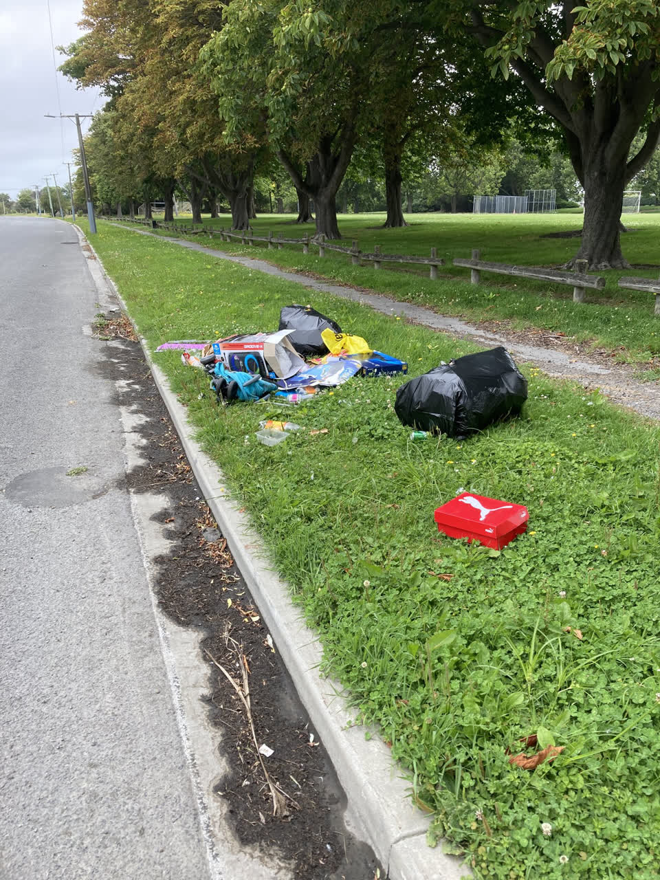 The photograph attached to this rubbish/recycling report