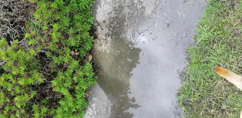 Water Leak — a report photo