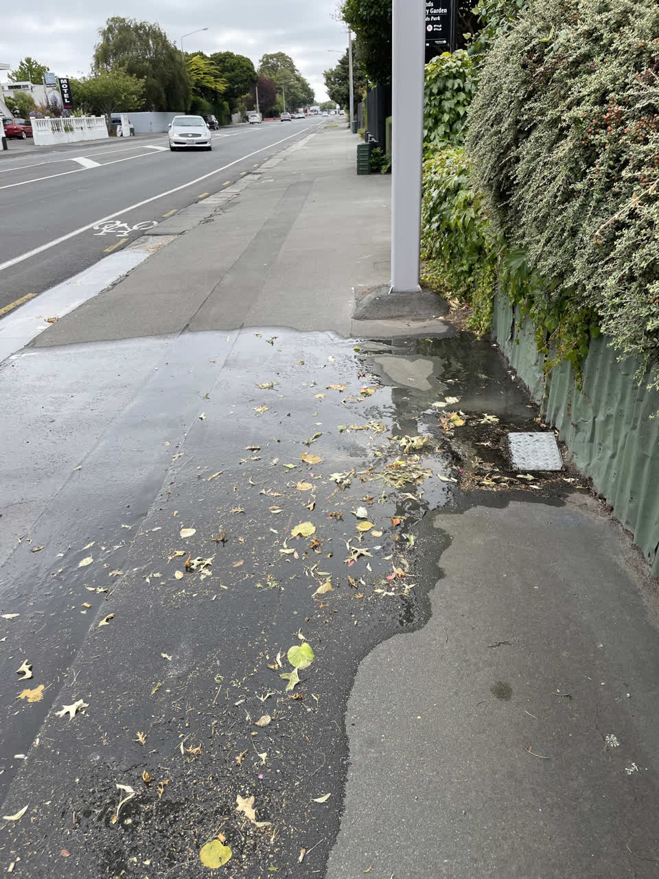 The photograph attached to this water leak report