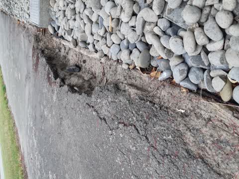 Roading/Streets, a report photo