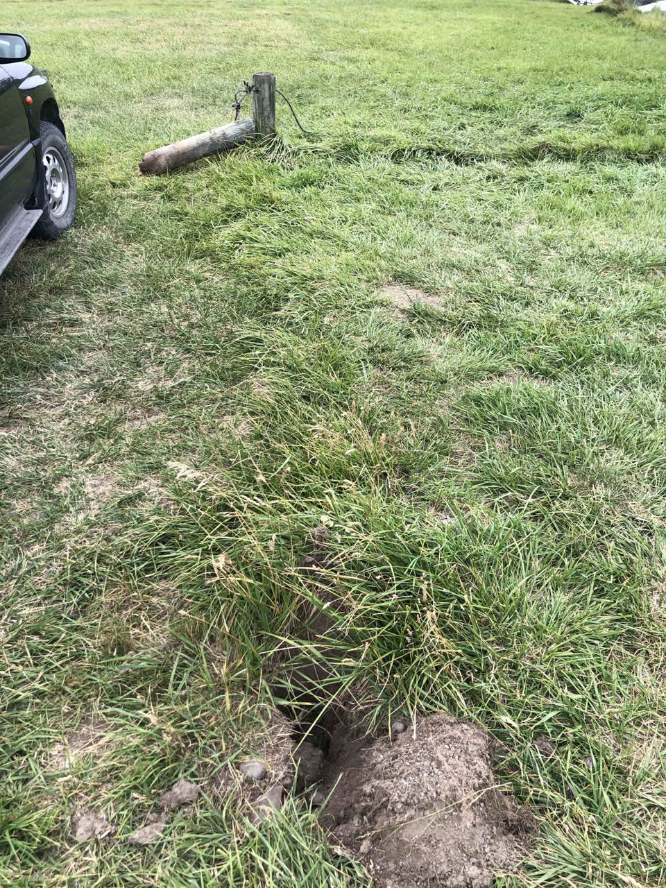 The photograph attached to this parks report