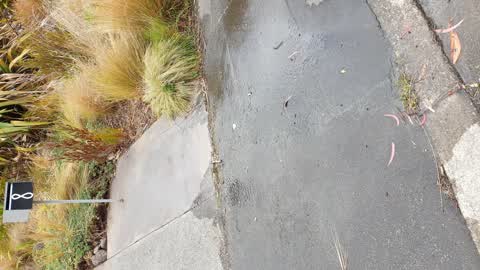 Water Leak, a report photo