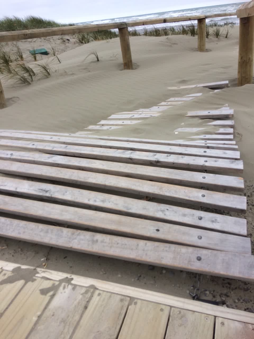 The photograph attached to this parks report