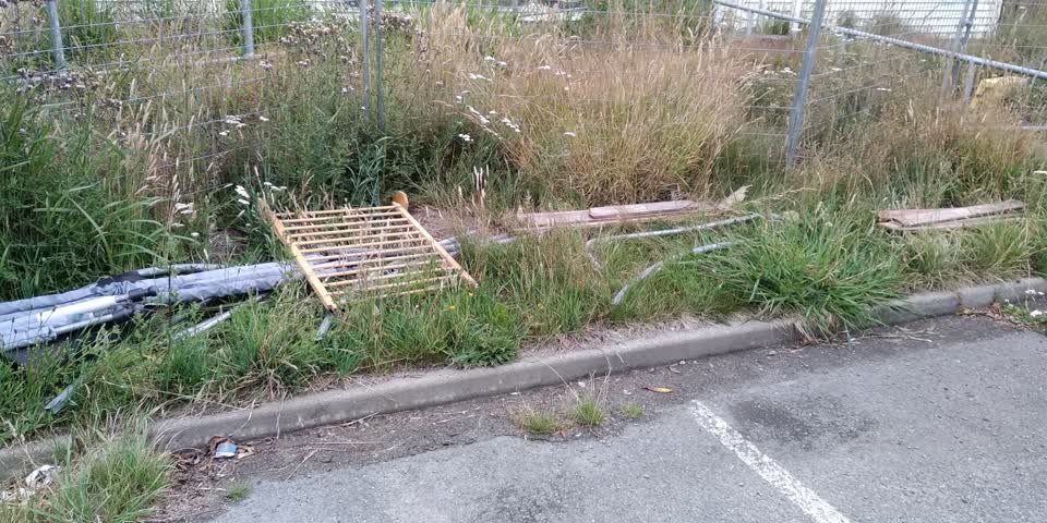 The photograph attached to this parks report