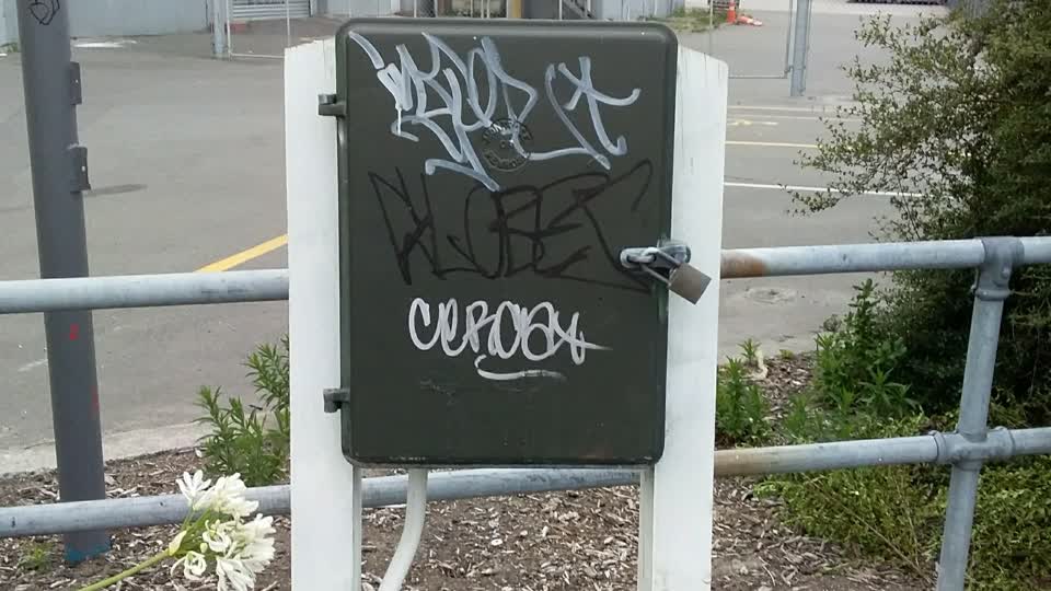The photograph attached to this graffiti report