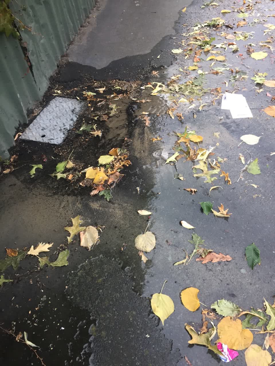The photograph attached to this water leak report