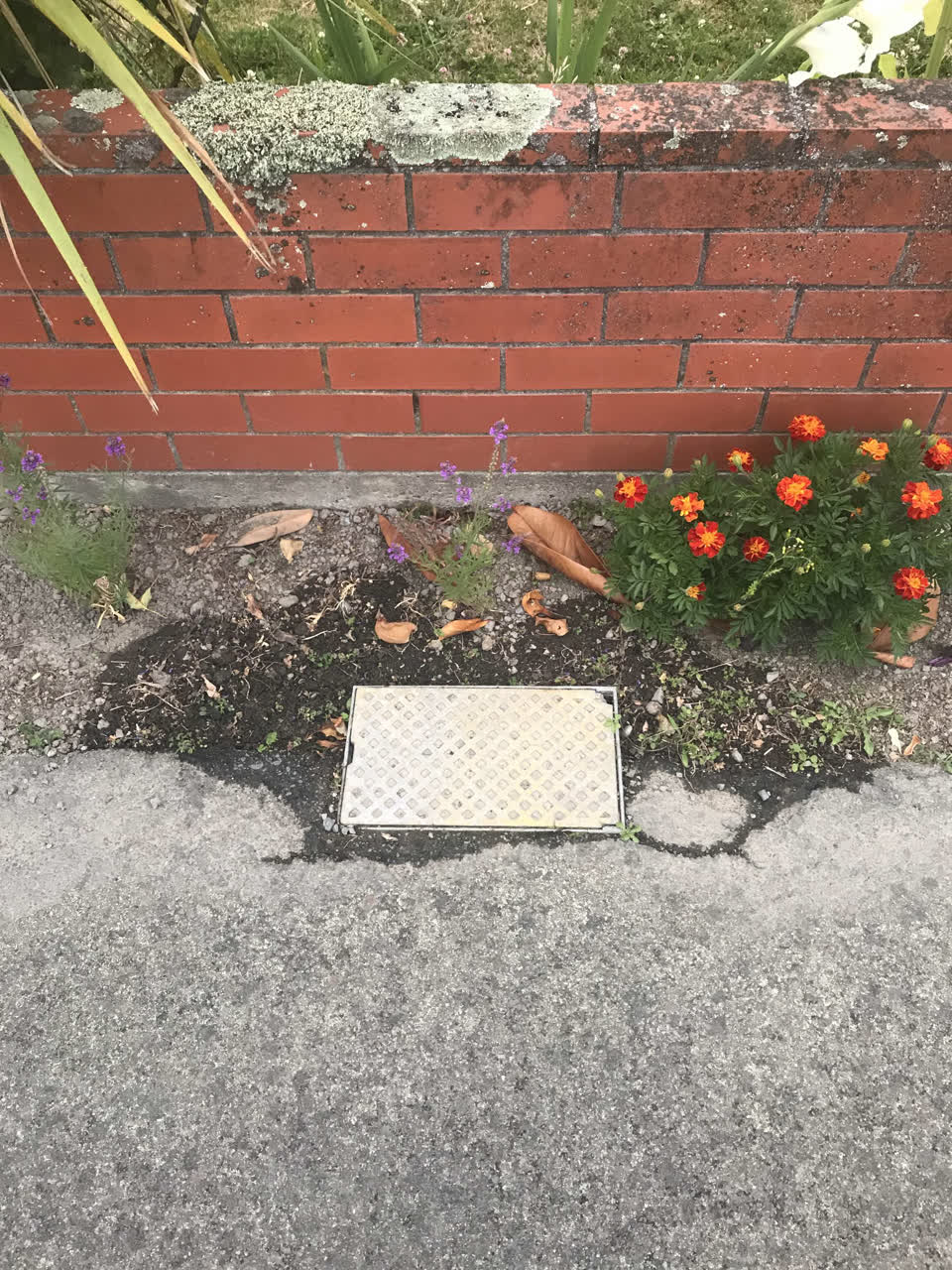 The photograph attached to this water leak report