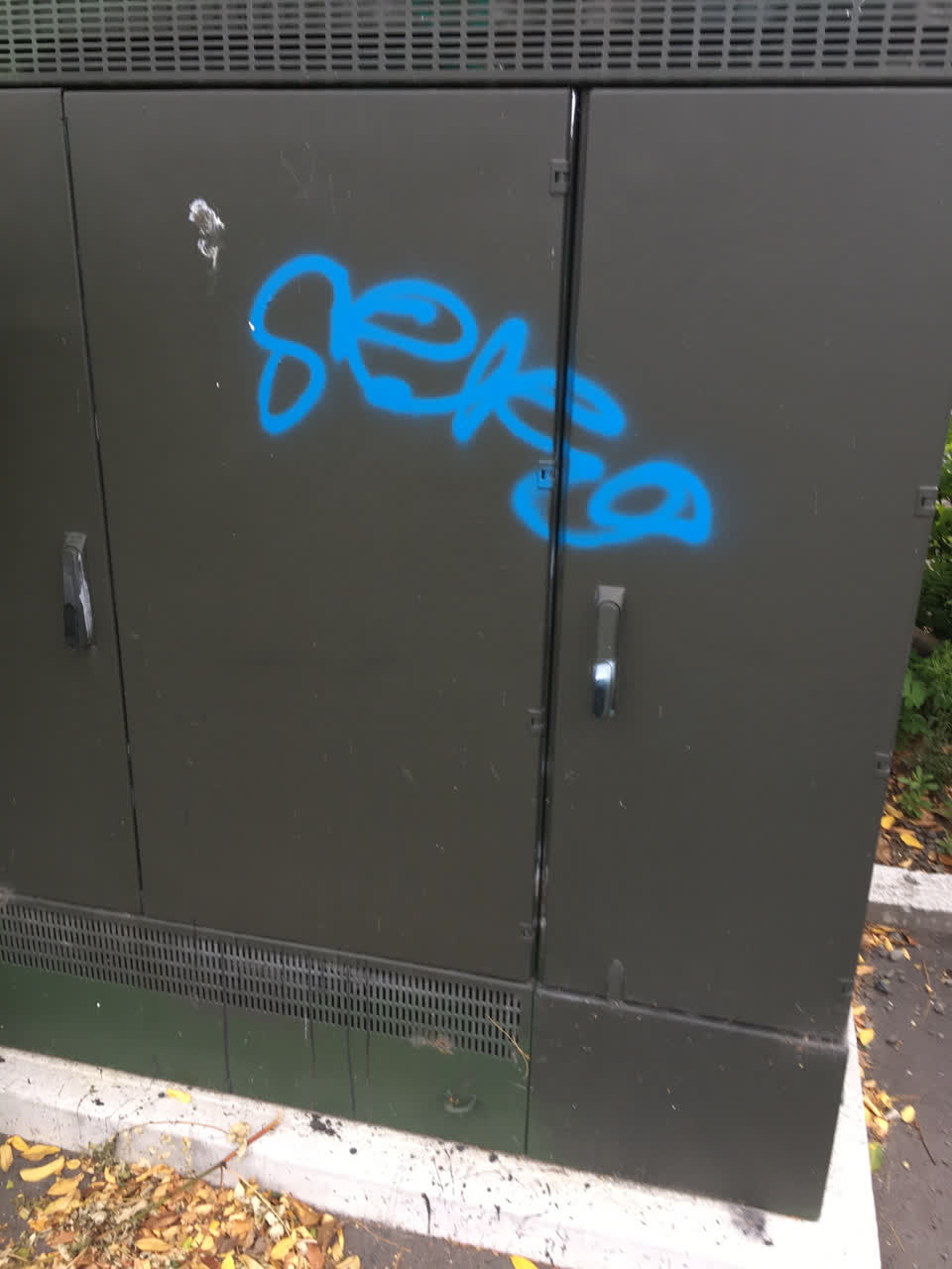 The photograph attached to this graffiti report